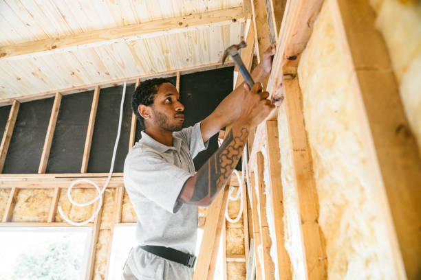 Insulation Repair Services in La Plata, MD