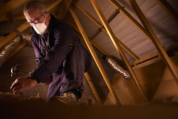  La Plata, MD Insulation Contractor Pros